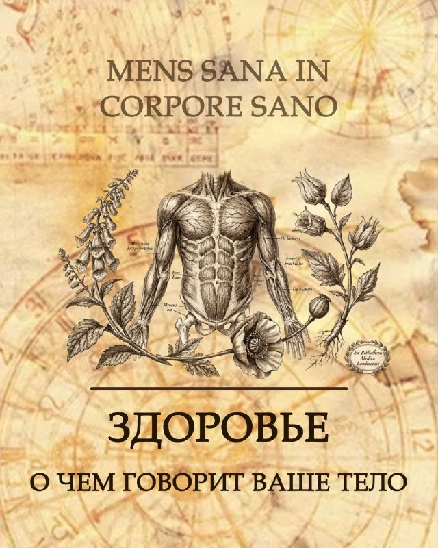 Здоровье